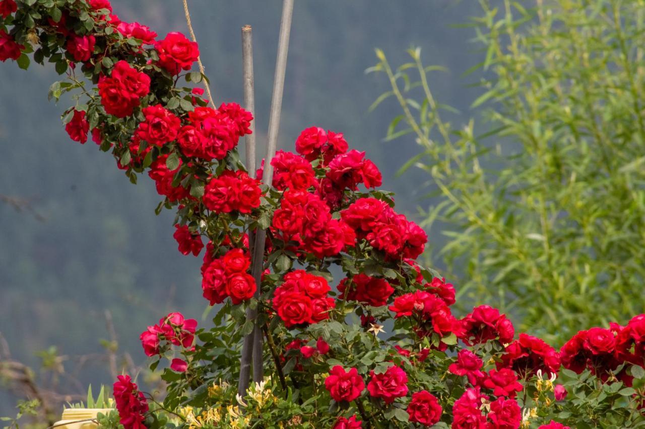 Jal-Vayu Cottages Manali  Luaran gambar