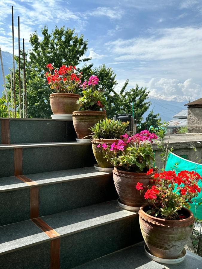 Jal-Vayu Cottages Manali  Luaran gambar